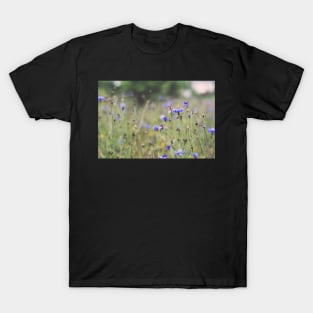 Cornflowers T-Shirt